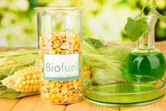 Derriford biofuel availability