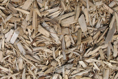 biomass boilers Derriford